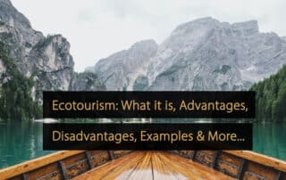 Ecoturismo