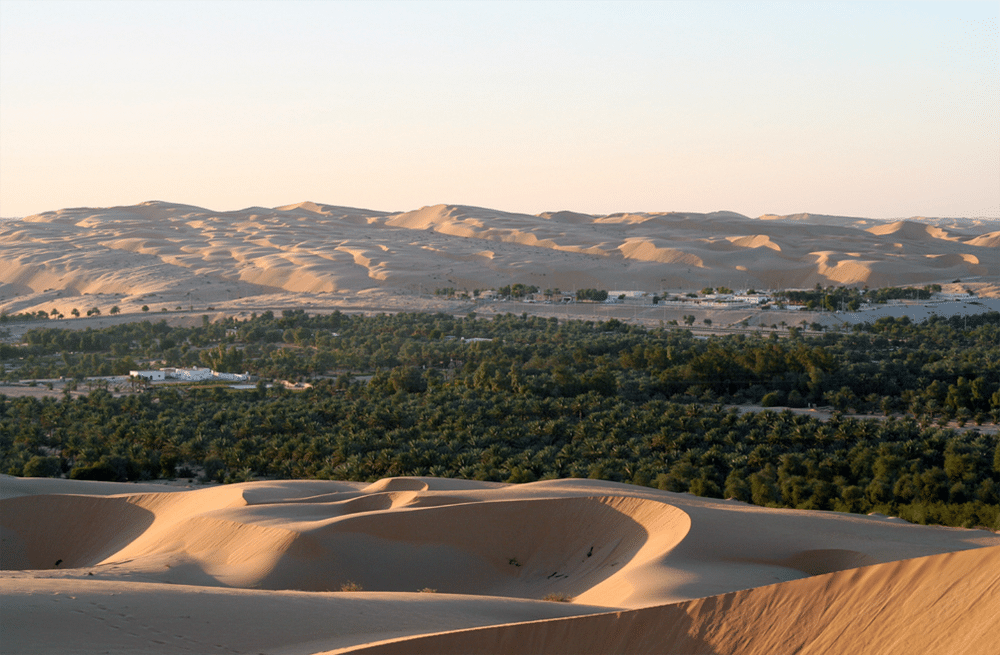 Oasis de Liwa