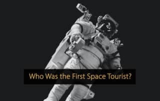 Who Was The First Space Tourist